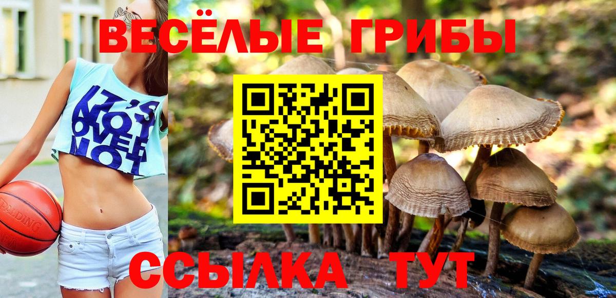 Мирный  Галлюциногенные грибы мицелий  Вход с VPN 