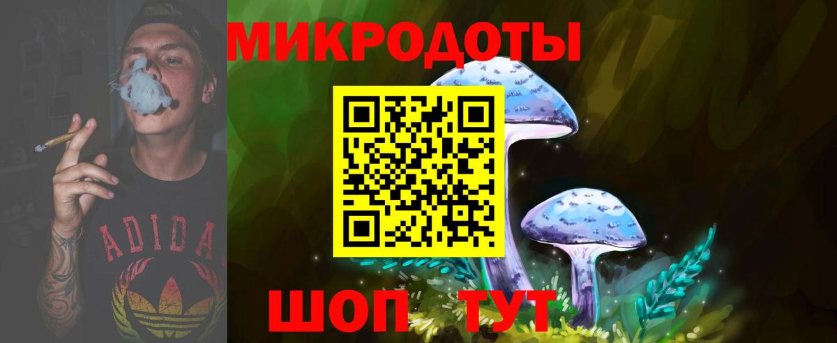 Псилоцибиновые грибы прущие грибы Мирный